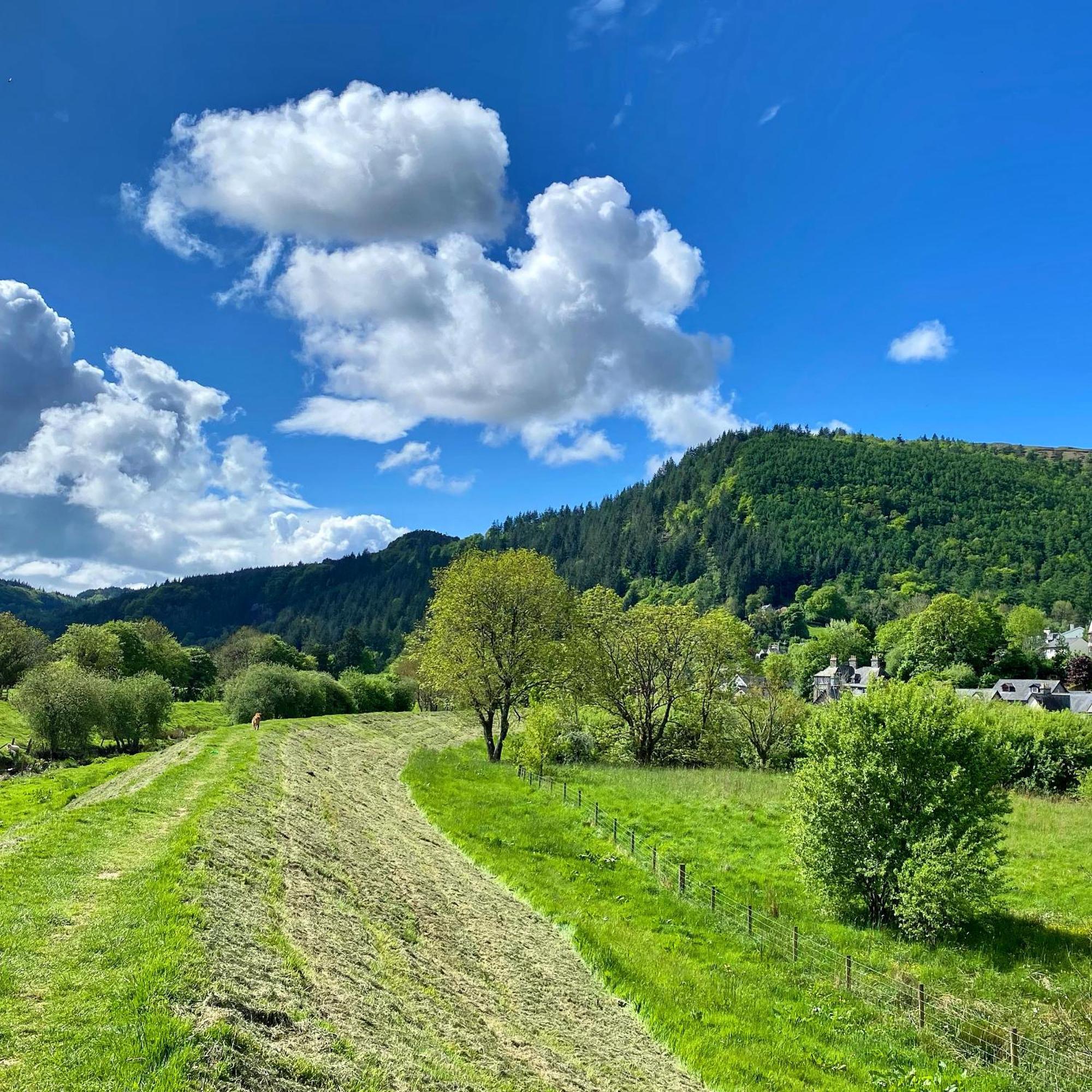 Crafnant House - Bed&Breakfast Trefriw Extérieur photo